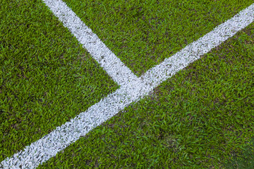 Green empty football / soccer field grass