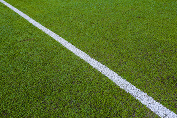 Fototapeta premium Green empty football / soccer field grass