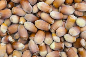 Stack of hazelnuts. Hazelnut background