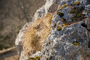 Roche autour du Chateau de Ferette