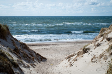 zwischen den Dünen am Meer