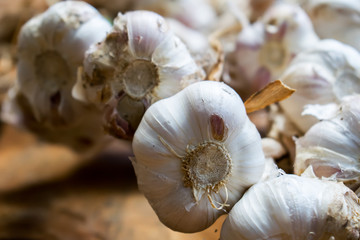 String of garlic on wooden background