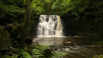 Obraz premium Waterfall in Forest