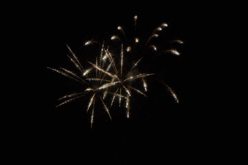 Festive fireworks in the dark sky