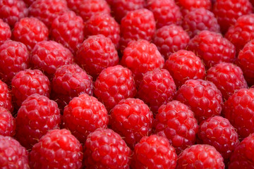 Raspberry organic background. Fresh raspberries from village garden. Ecological berries for desserts, cakes, smoothie or jam.