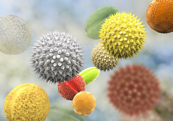 Pollen grains from different plants, 3D illustration. They are factors causing hay fever and allergic rhinitis - obrazy, fototapety, plakaty