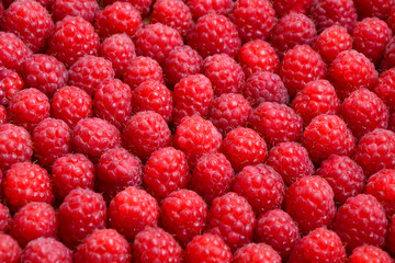 Raspberry organic background. Fresh raspberries from village garden. Ecological berries for desserts, cakes, smoothie or jam.