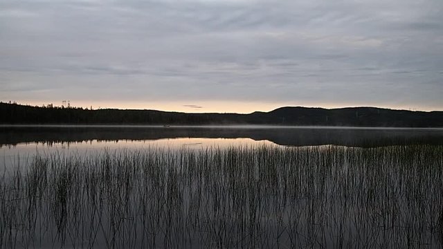 lac