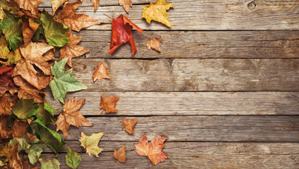 Autumn banner, colorful leaves on wooden floor, Thanksgiving Day