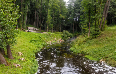 a forest park with large trees and creative benches and arches.