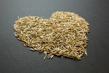 Heart from grass seeds on a black background.