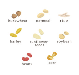 Set of vector flat logo elements for healthy food, raw food, vegetarian. Grain and Cereals. Beans, corn, oatmeal, rice, soybean, peas, sunflower seeds, buckweat