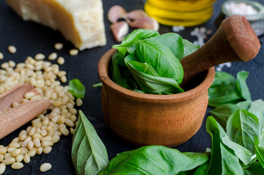 Green basil pesto ingredients