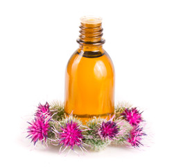 burdock oil in glass bottle and burdock flowers isolated on white background