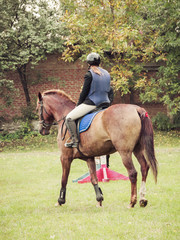 Horse and rider