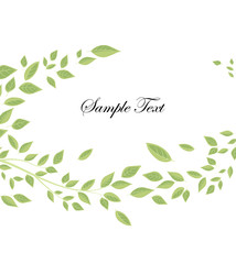 Branches and green leaves