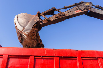 Excavator Earthworks Loading Truck Bin