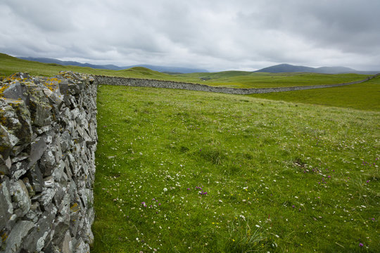 view towards a drystone wall in northern scotland