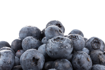 blueberries isolated close up