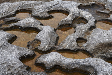 Trapped Tide Water Australia