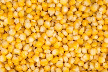 Plenty of beautiful yellow corn as a background. Decorative texture from boiled corn grains.
