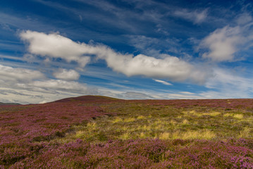 View of Cairngorms National Park
