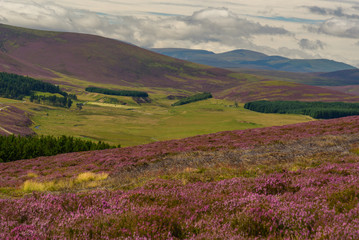 View of Cairngorms National Park