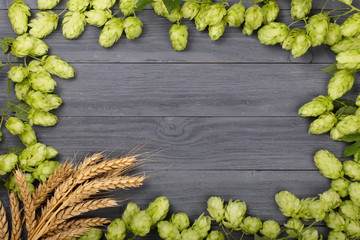 Frame of hop cones with ears of wheat on black wooden background. Top view with copy space for your...