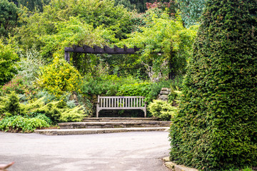 bench scenic