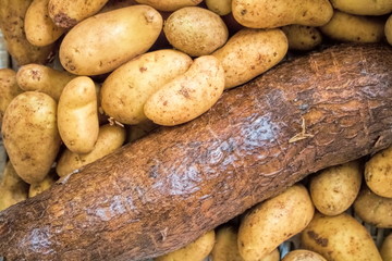 Maniok und Kartoffeln