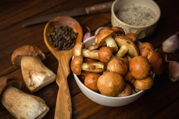 Ingredients for mushroom soup: fresh porcini mushrooms in plate, spices and salt  on wooden rustic background