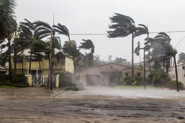 Papier Peint photo Lavable Orage Le boulevard Las Olas inondé et les palmiers soufflant dans les vents, l& 39 ouragan catastrophique Irma.