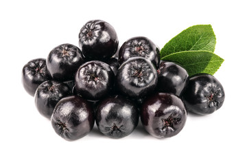 Chokeberry with leaf isolated on white background. Black aronia berries
