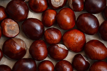 Chestnuts autumn background fall retro photo 3