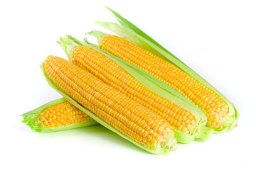 ear of corn isolated on a white background. Top view