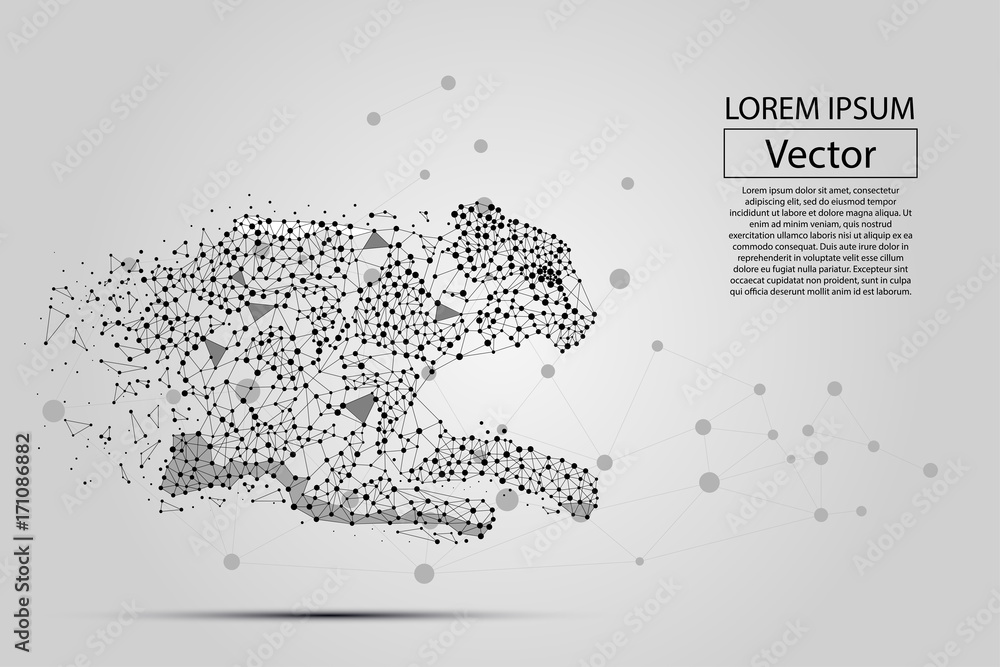 Poster abstract image of cheetah made of dots, points and mash lines on white background with an inscriptio