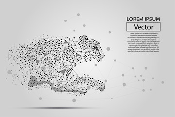 Abstract image of cheetah made of dots, points and mash lines on white background with an inscription. Business net speed vector illustration. Polygonal, geometry triangle. Low poly background.  © Brazhyk