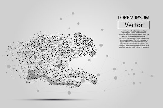 Abstract image of cheetah made of dots, points and mash lines on white background with an inscription. Business net speed vector illustration. Polygonal, geometry triangle. Low poly background. 