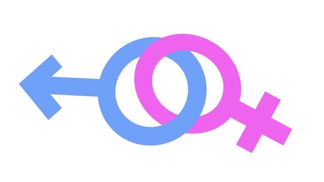 Interlocked gender symbols, male and female loop