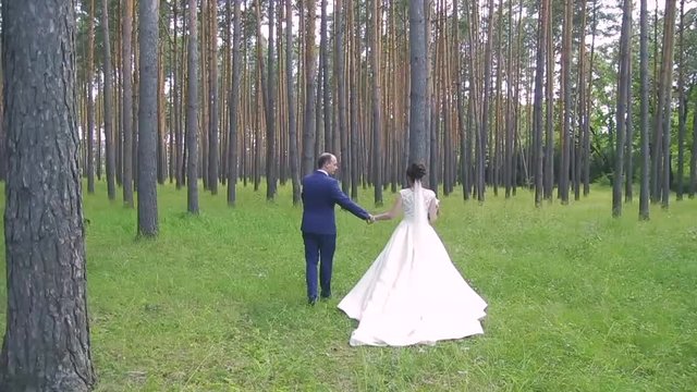 in love a young wedding couple is walking in the park. A husband with his wife in white bride wears a walk in nature