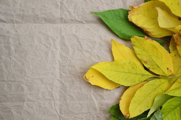Autumn wallpaper yellow leaves fall vintage background 3
