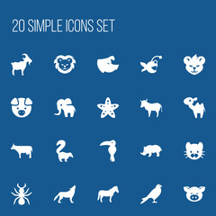 Naklejka na ściany i meble Set Of 20 Editable Zoo Icons. Includes Symbols Such As Cow, Livestock, Skunk And More. Can Be Used For Web, Mobile, UI And Infographic Design.