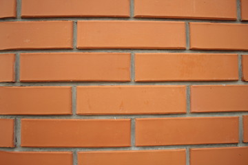 Obraz premium Ściana