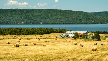 Hay bales © Sebastien