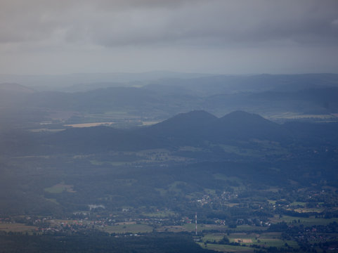 View at forest landscape