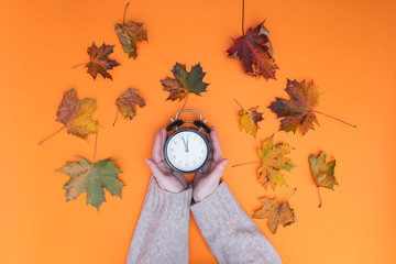 Above view at hands holding alarm clock © Masson