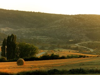 TEROL i CASTELLÓ © ALBERT