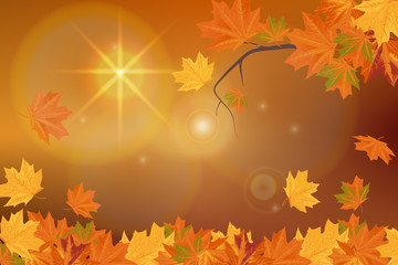 Naklejka na ściany i meble Autumn maple leaves on the branches of trees fallen leaves falling leaves Rowan
