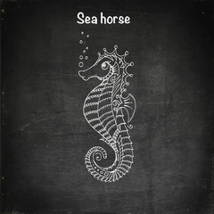 Cute sea horse cartoon © alexhliv