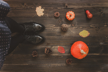 Autumn background with copy space. Female legs and pumpkins on the wooden background